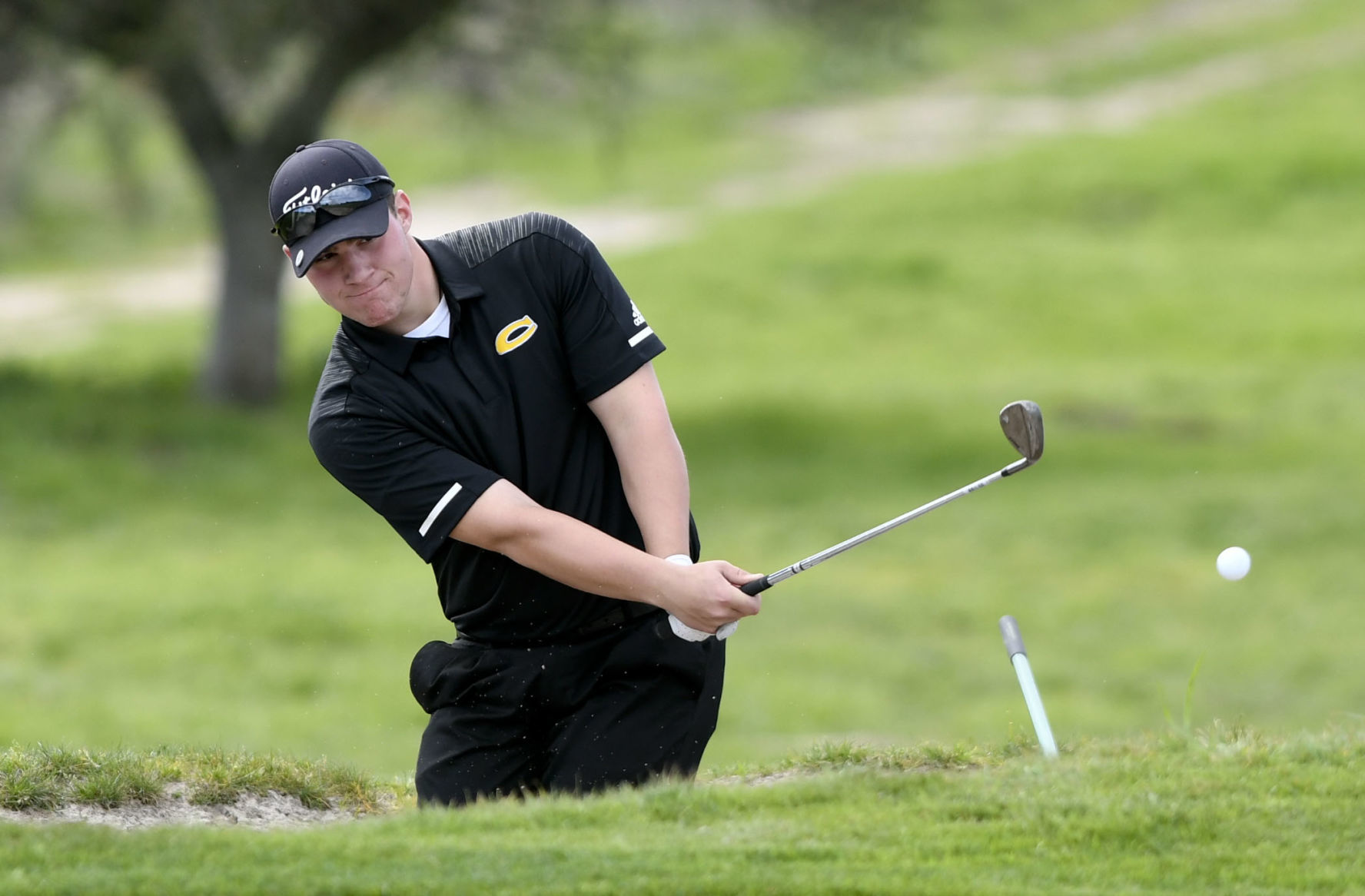 030419 CHS LHS golf 01.jpg